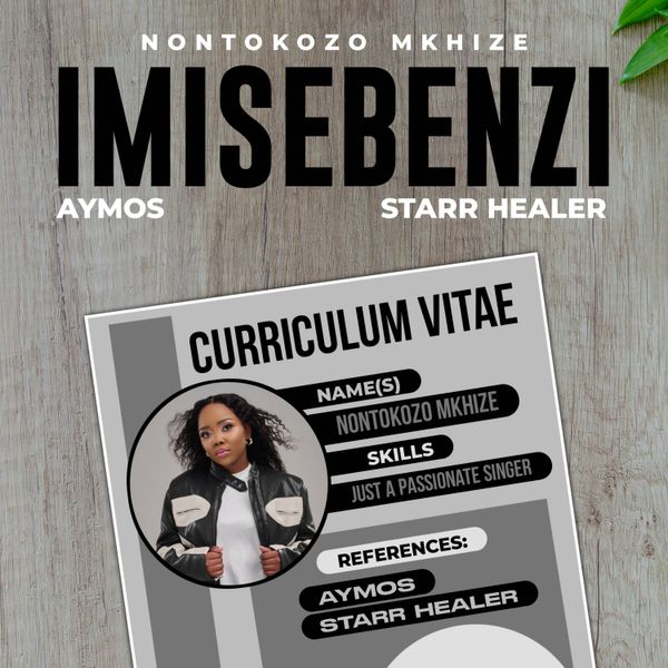 Nontokozo Mkhize - Imisebenzi