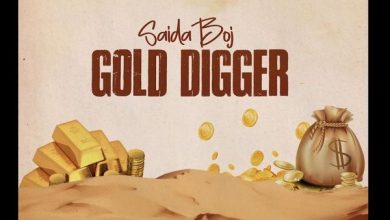 Saidaboj - Gold Digger