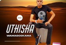 uThisha Wamagcokama - Laf’izwe