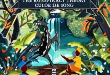 Culoe De Song The Konspiracy Theory Album Culoe De Song - The Konspiracy Theory (Album)