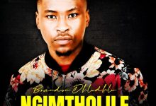 Brandon Dhludhlu - Ngimtholile