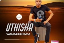 uThisha Wamagcokama 365 Days Album Download