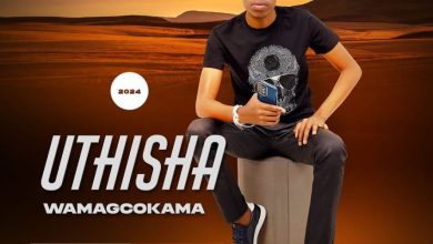 uThisha Wamagcokama 365 Days Album Download