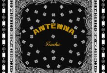 Zuchu - Antenna