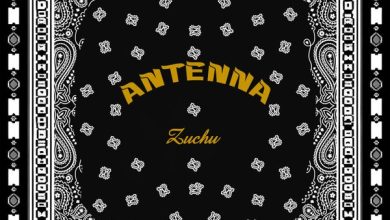 Zuchu - Antenna