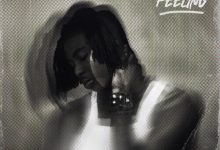 FOLA (feat. Bella Shmurda) - who does that?