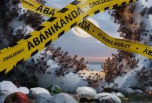 Zinoleesky - Abanikanda