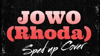 Dj IBK - Jowo (Rhoda) Sped Up Cover