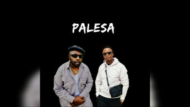 DJ Maphorisa - Palesa