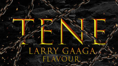 Larry Gaaga - Tene