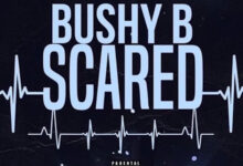 Bushy B - Scared (Sped Up)