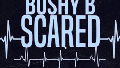 Bushy B - Scared (Sped Up)