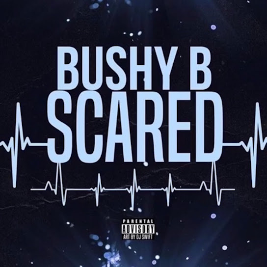 Bushy B - Scared (Sped Up)