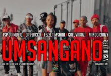 Fezela Mshini - Umsangano